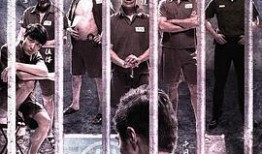 一狱一世界在线观看,揭秘虚拟监狱的惊悚现实